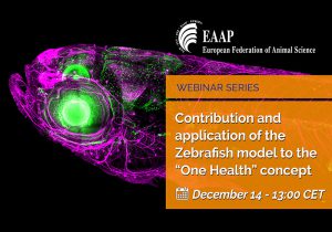 Contribution and application of the Zebrafish model to the “One Health” concept webinar @ Online event